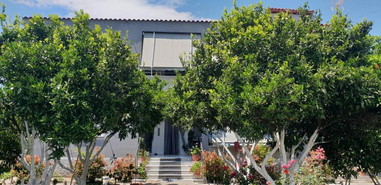 Guesthouse Anila Divjake Exterior photo