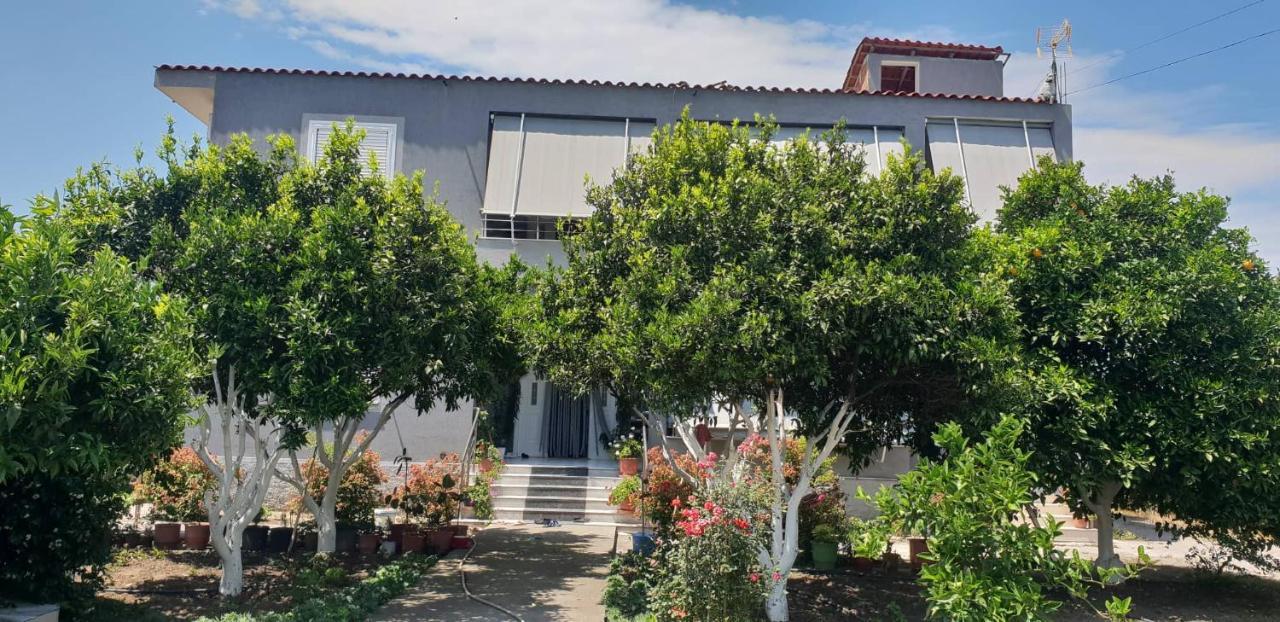 Guesthouse Anila Divjake Exterior photo