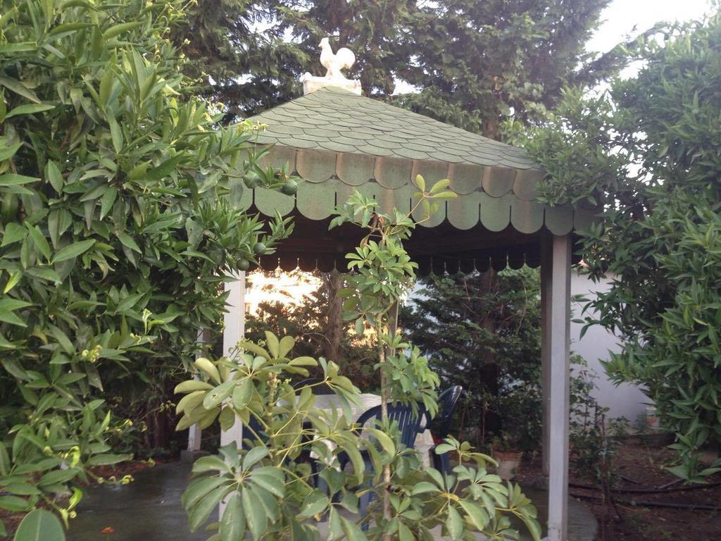 Guesthouse Anila Divjake Exterior photo