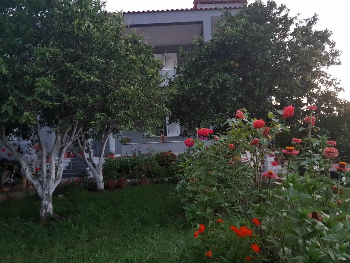 Guesthouse Anila Divjake Exterior photo