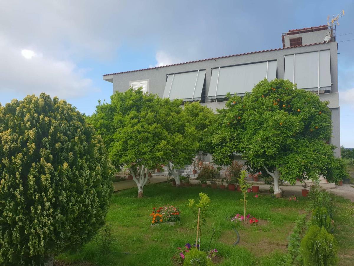 Guesthouse Anila Divjake Exterior photo